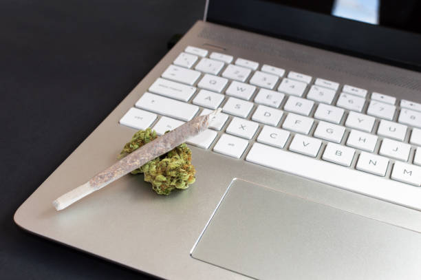 big marijuana joint and cannabis buds on laptop on black background, concept of cannabis and technology. - tobacco cigarette tobacco product rolling imagens e fotografias de stock