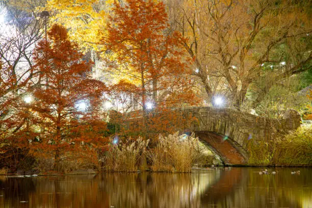 Photo of Night time image of Gapstow Bridge in New York City’s Central Park at night