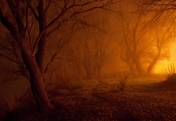 Oil landscape painting showing spooky forest at night.