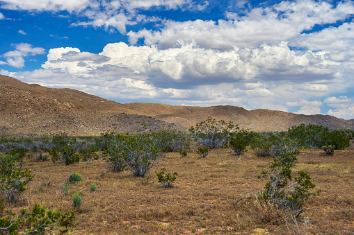 Mojave Desert landscape view in the Lucerne Valley in California