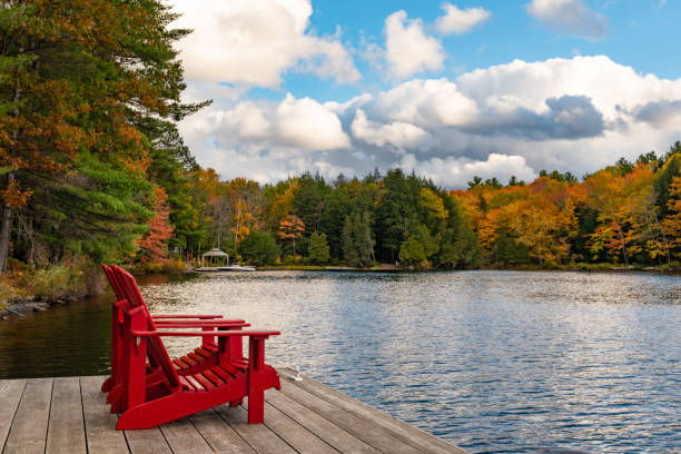 taylor island of lake muskoka em autumn, gravenhurst, ontário, canadá - pier rowboat fishing wood - fotografias e filmes do acervo