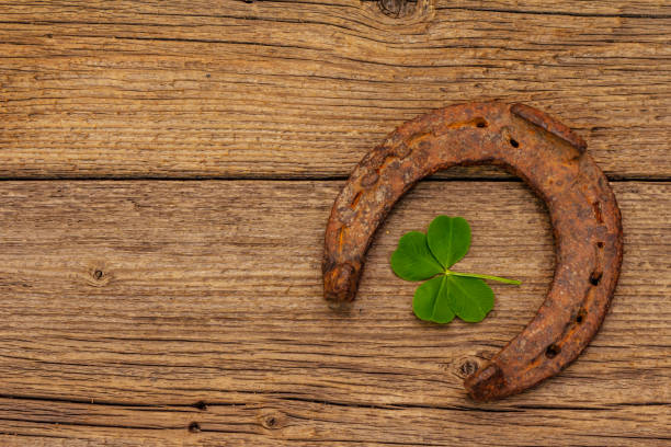 istock Fresh clover leaf. Good luck symbol, St.Patrick's Day concept 1224422712