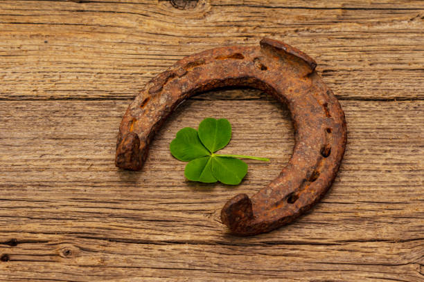 istock Fresh clover leaf. Good luck symbol, St.Patrick's Day concept 1224422765