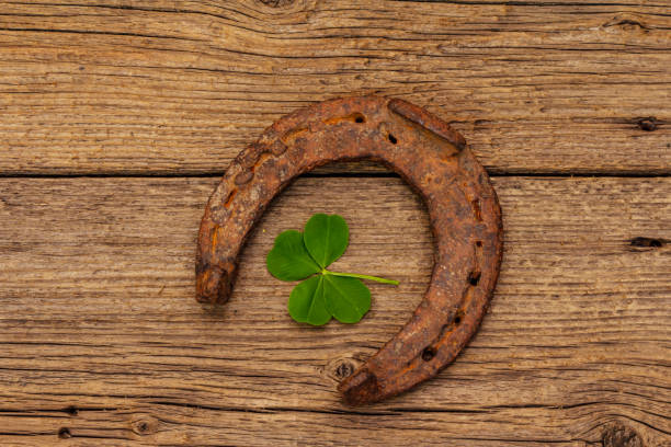 istock Fresh clover leaf. Good luck symbol, St.Patrick's Day concept 1224422769