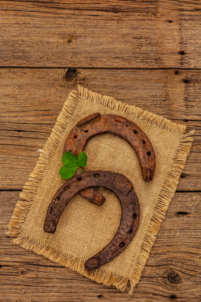 istock Fresh clover leaf. Good luck symbol, St.Patrick's Day concept 1224422867