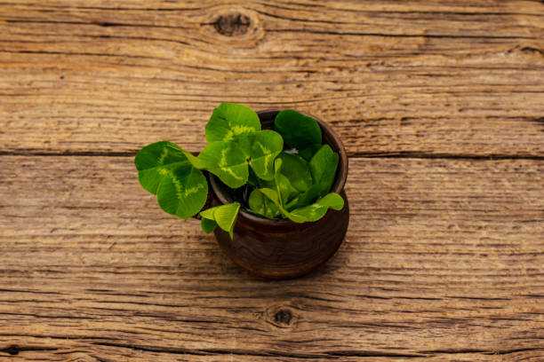 istock Fresh clover leaf. Good luck symbol, St.Patrick's Day concept 1224422950