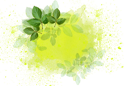Leaves over Hand-painted Chartreuse Green Watercolor Vignette with White Background