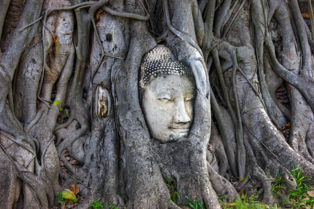 istock Head of Buddha thai temple architecture in Thailand 1224423964
