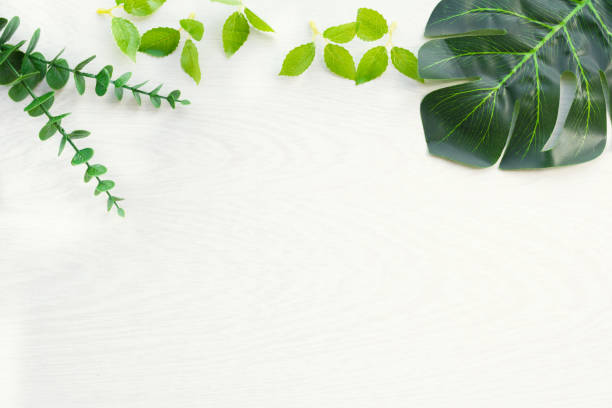 istock Nature background frame with green leaves. Sopy space 1224424287