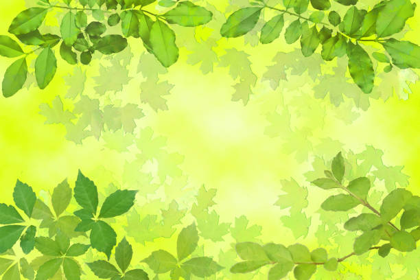 istock Framed Leaf Border over Chartreuse Green Watercolor Background - Copy Space 1224424341