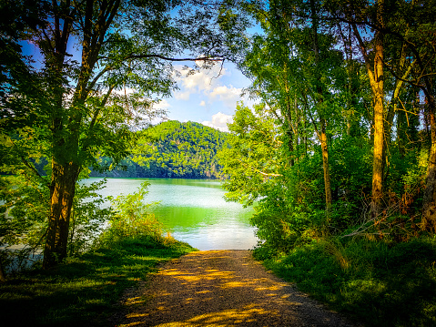 Road to Fontana Lake - Deep Shadows - Summer Vignette