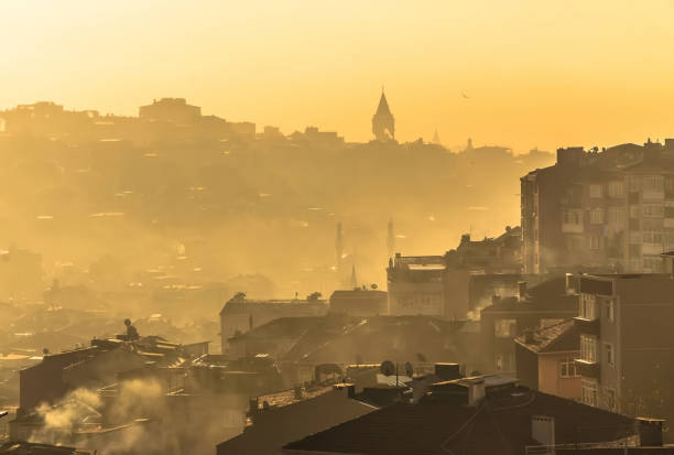 Environmental air pollution image of close up tall city buildings and flying birds in smoke at dusk time in Istanbul, Turkey