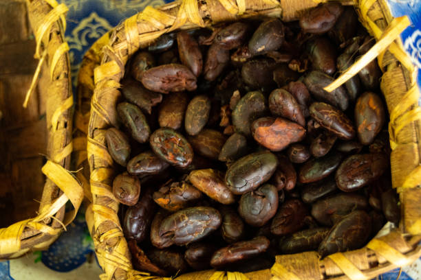 istock Cocoa Beans in a Basket 1224430358