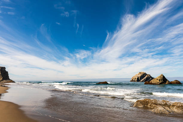 istock Sunny day on Bandon Beach in Oregon 1224431097