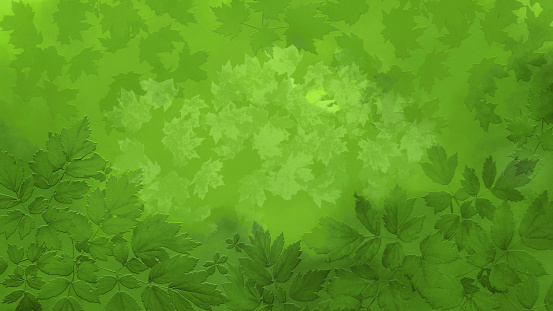 Green Leaves on Vignette Watercolor Background with Copy Space