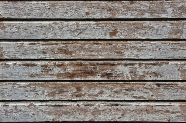 istock Peeling white paint wood slat texture. Abstract background with horizontal lines on a wooden wall. 1224433713