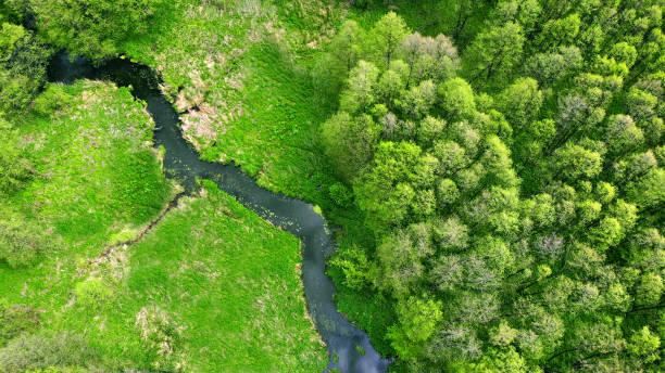 istock Aerial.. River in the forest. Beautiful spring nature. View above. 1224433905