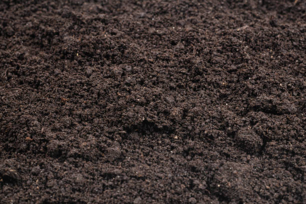 istock Black land for plant background. 1224435701