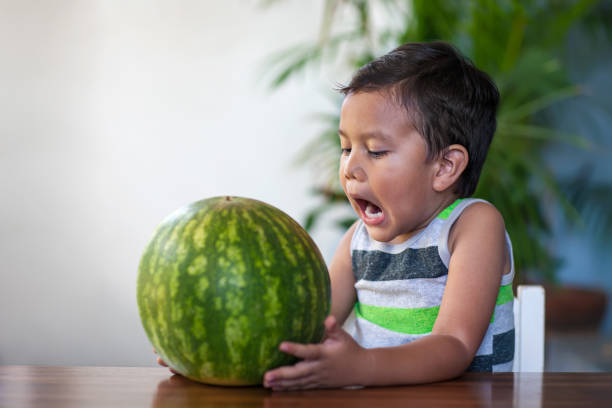 A toddler holding a ripe watermelon who is eager to bite into the low-calorie fruit during summer. stock photo