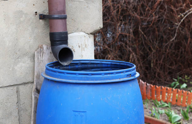 istock blue barrel with rainwater in the country 1224437404