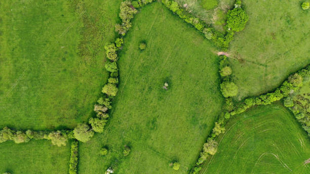 direkt über ansichten von feldern in irland - nobody aerial view landscape rural scene stock-fotos und bilder