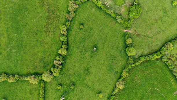 bezpośrednio nad widokami pól w irlandii - aerial view mid air farm field zdjęcia i obrazy z banku zdjęć