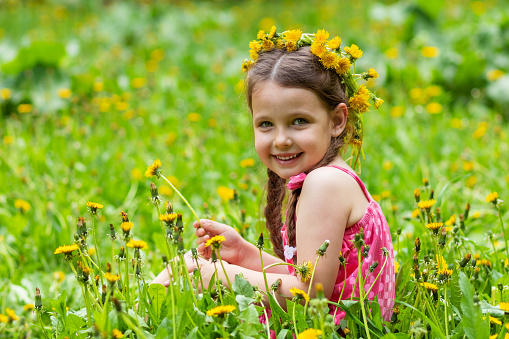 Girl 5 y.o. playing in the meadow with dandelions