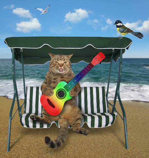 istock Cat with guitar sings song on beach 1224441010