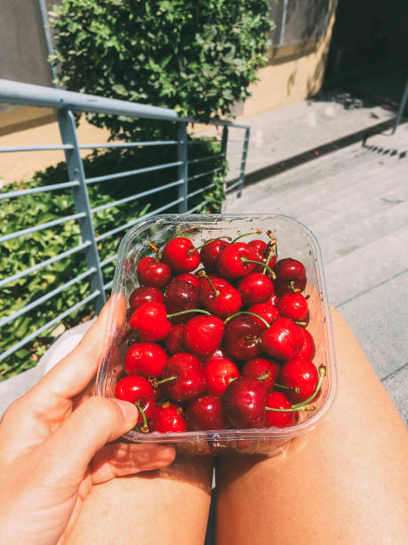 istock Girl's hand holding fresh cherries in plastic box 1224441965
