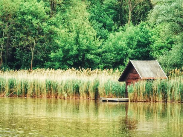Small Wooden Hut hidden in the reeds on the edge of a lake in Hungary.
