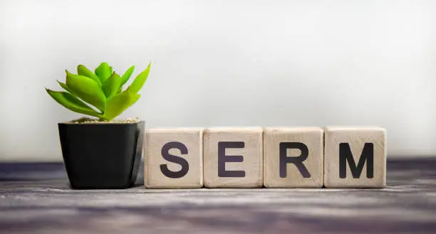 Photo of SERM - business concept on a white background. Wooden cubes with green flower