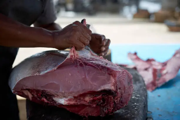 Vendor Skinning fresh raw Tuna fish at seafood market