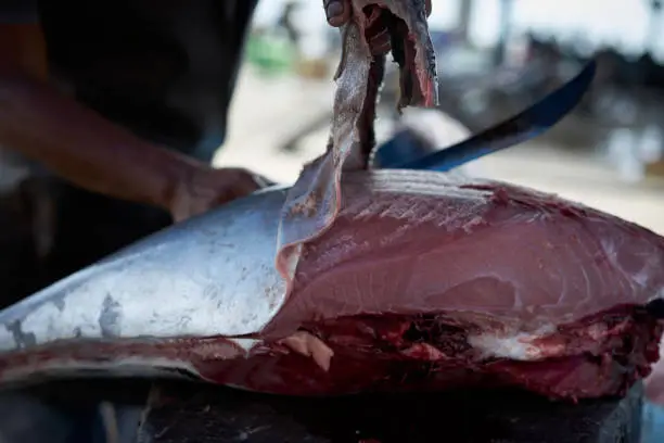 Vendor Skinning fresh raw Tuna fish at seafood market