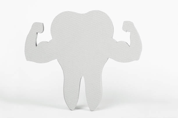 istock White and Very Strong Muscle Healthy Tooth 1224449301