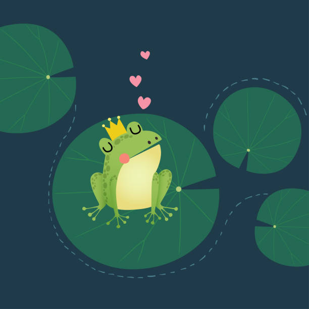 Vector illustration of a cute little frog prince with a golden crown on the lotus leaf. Vector illustration of a cute little frog prince with a golden crown on the lotus leaf. lily stock illustrations