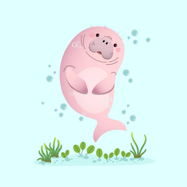 ilustraciones, imágenes clip art, dibujos animados e iconos de stock de ilustración vectorial lindo caricatura dugong nadando bajo el agua con hierba marina. - manatee