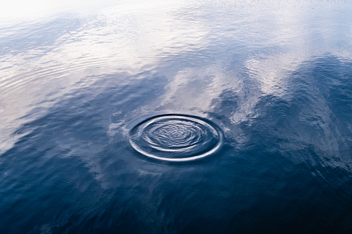 Circles on Water's Surface at the Seashore