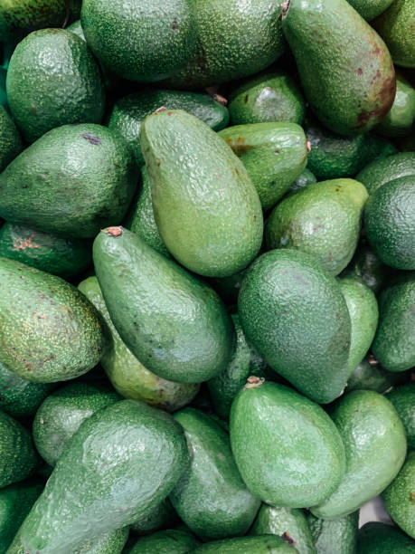 istock ripe green avocados for eating like a background 1224452249