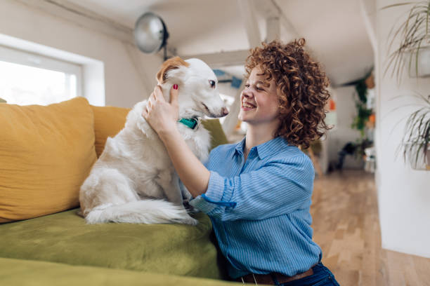 istock Young woman cuddling her dog on the sofa 1224454025