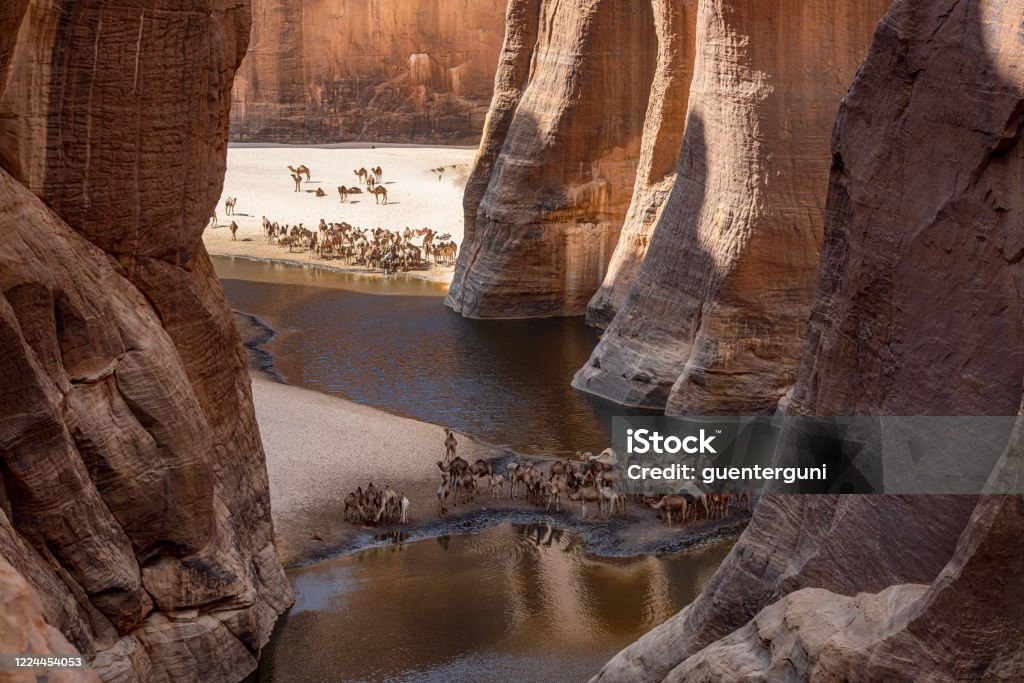 View into the legendary Guelta d’Archeï, Ennedi massif, Sahara, Chad View into the legendary Guelta d’Archeï, the mystic spring of water inside the remote Ennedi Mountains in the Sahara desert, North-East Chad. This place is since centuries one of the main sources of water for the Tubu people and their camel herds. The Ennedi massif was declared as an UNESCO World Heritage site in 2016. Africa Stock Photo