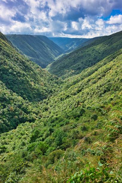 istock Beautiful landscape in Cherrapunji, India 1224454504