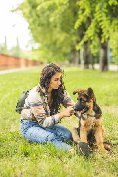 istock Woman brushing dog 1224454813
