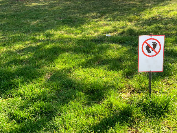istock sign forbidding walks people on green grass 1224454965