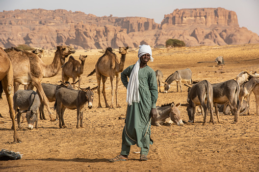 Guelta d’Archeï, Chad - February 08, 2020: A man of the Tubu people with  camels and donkeys at a water well in the Sahara. This scene happens close to the legendary Guelta d’Archeï, the mystic spring of water inside the remote Ennedi Mountains in the Sahara desert, North-East Chad. This place is since centuries one of the main sources of water for the Tubu people and their camel herds. The Ennedi massif was declared as an UNESCO World Heritage site in 2016.