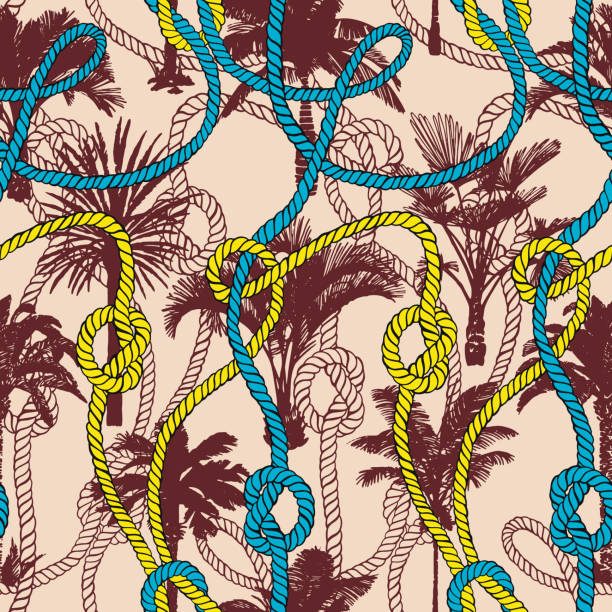Palm Tree Color Rope 190+ Shadow Palm Trees Tropical Beach Drawings Stock Photos, Pictures ...