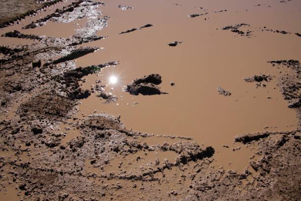 istock California Desert Alone Time 1224461493