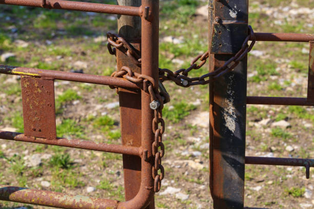 istock Rusty metal gates tied with metal chain 1224461546