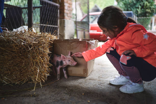 istock She is so adorable, she loves any animal so much 1224464385