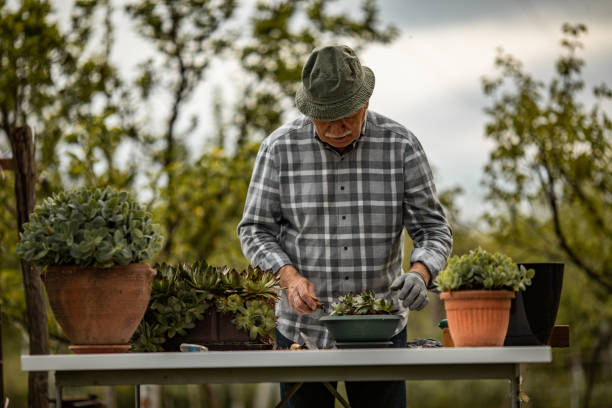 istock Senior man taking care for plant in back yard 1224472566