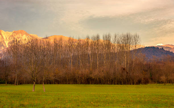 istock Autumn sunrise with barren trees 1224472623